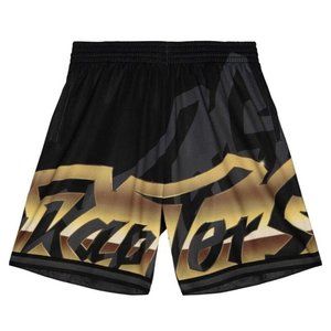 Mitchell & Ness Black NBA Toronto Raptors Big Face 4.0 Fashion Men Shorts Size L